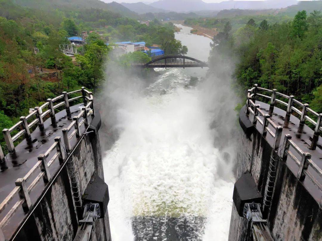 兴国长冈水库开闸腾库 确保安全度汛!_分析_防汛_信息