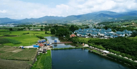 "五一"带您走进茶香双江_县城_勐库镇_距离