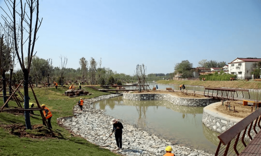 關於沈丘夢翔植物園,西蔡河,星城公園,沙河灣森林公園.