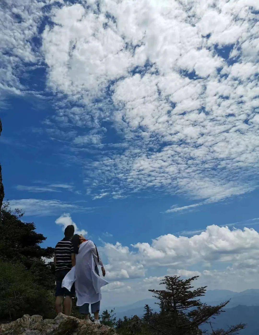 避开"人从众",牛背梁错峰出游正当时!_门票_景区_本人