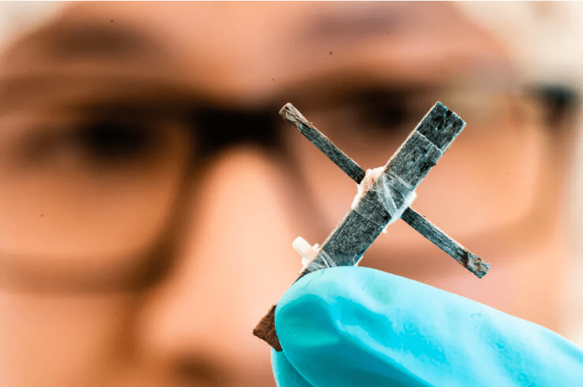 科学家创造出世界首个木质晶体管 创新成果发表在《自然・电子学》杂志上