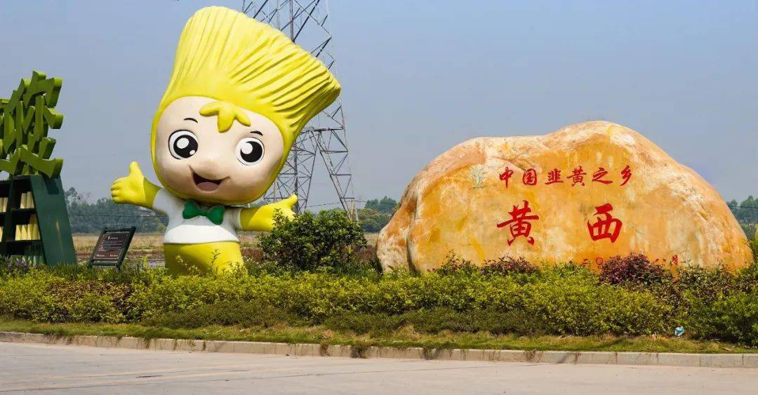 作为"中国韭黄之乡"的黄西村,在乡村振兴工作的推动下打造特色农旅