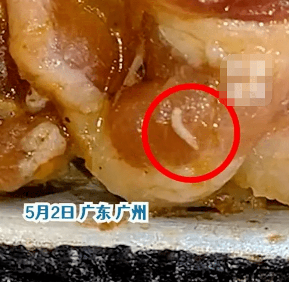 广州:顾客吃自助烧烤,竟发现肉上爬满活蛆,惊呆了!