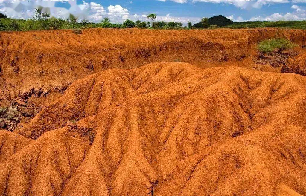 高考地理中的土壤侵蚀,微专题:坡向(阳坡vs阴坡,背风坡vs迎风坡)_地表