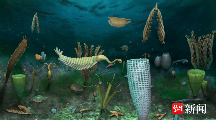 6亿年前,海底有一个"迷你世界"_古生物_城堡_动物