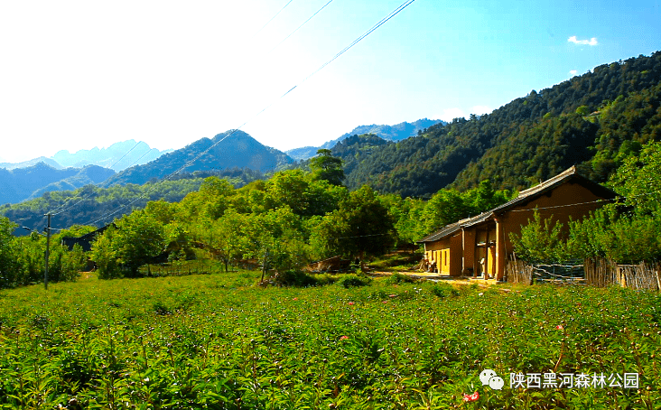 殷家坪村,位于黑河国家森林公园区域内的厚畛子镇,是大蟒河里的一个小