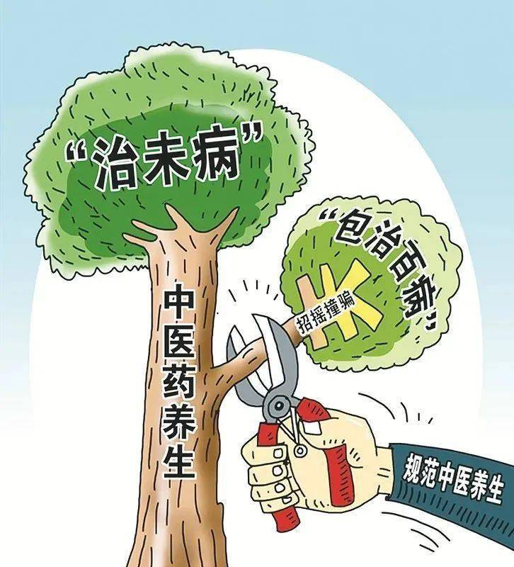 中医养生在行动视频(中医养生讲座视频在线观看)