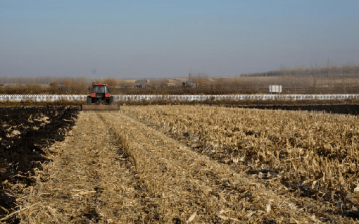 【2023省农业主推技术】黑土地保育与粮食产能提升技