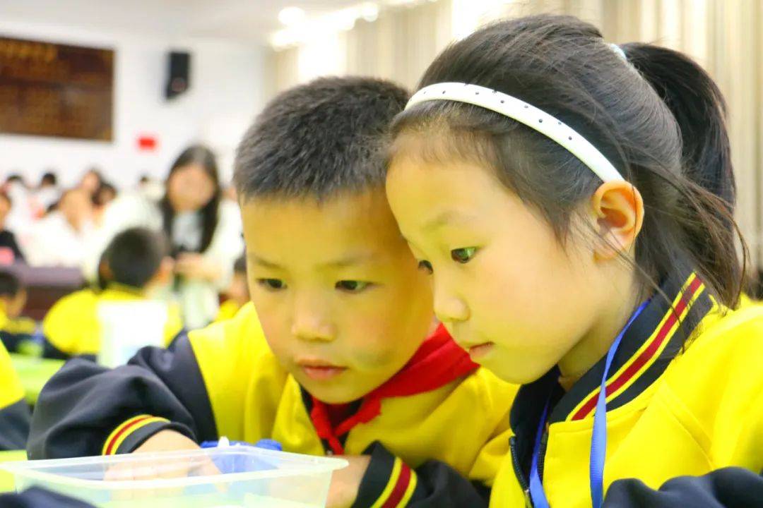 新时代 新征程 新伟业 | 绥阳县举行小学科学优质课