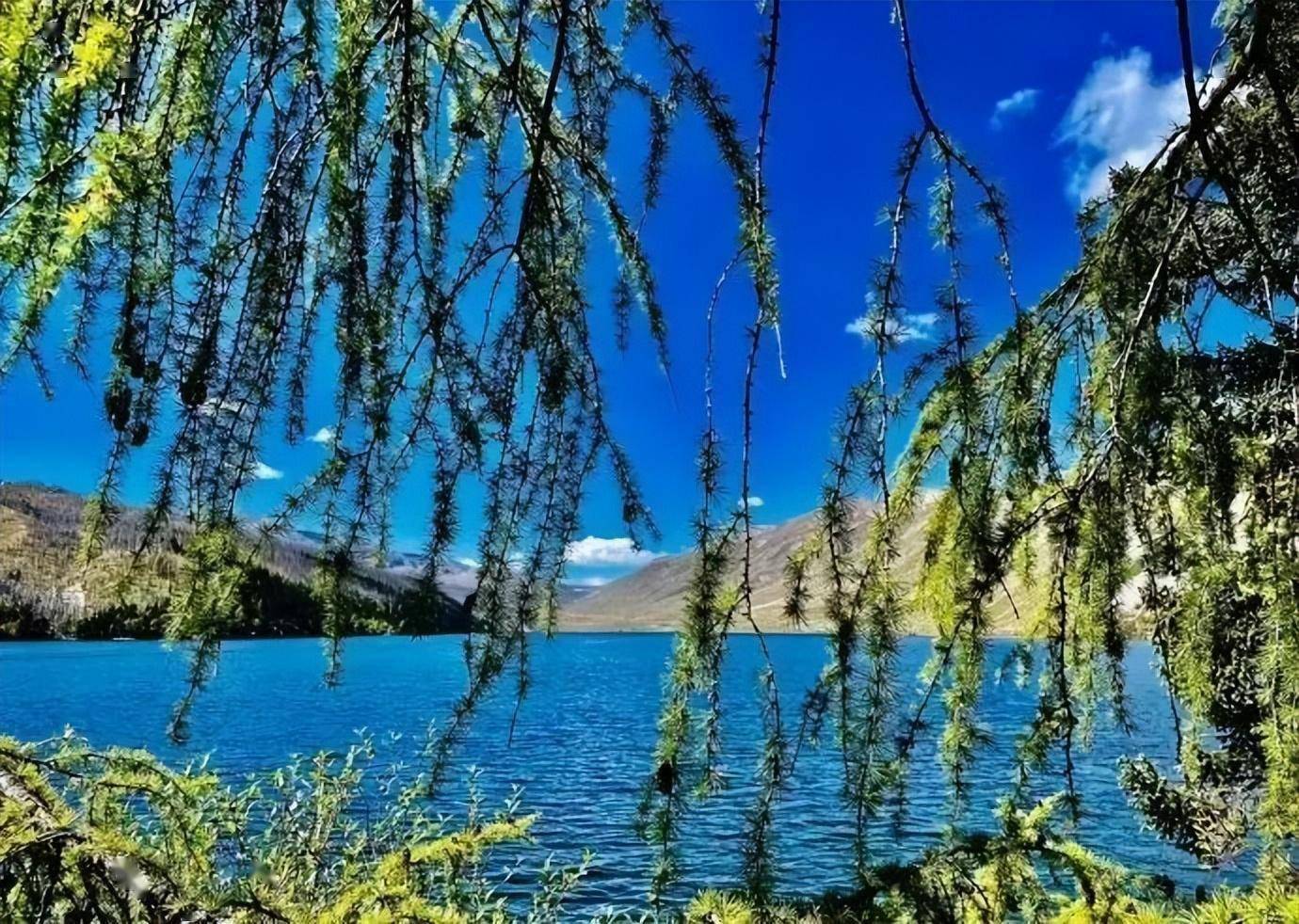 木格措)景区:主要乡村旅游点(项目)介绍044月—10月最佳旅游时间03