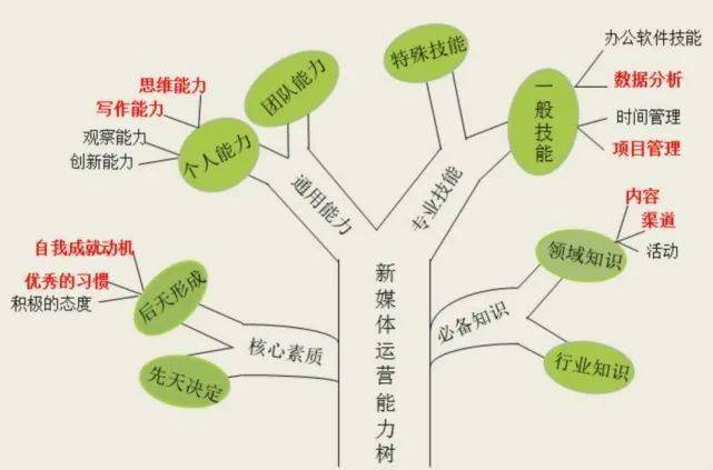 职业规划树状图图片
