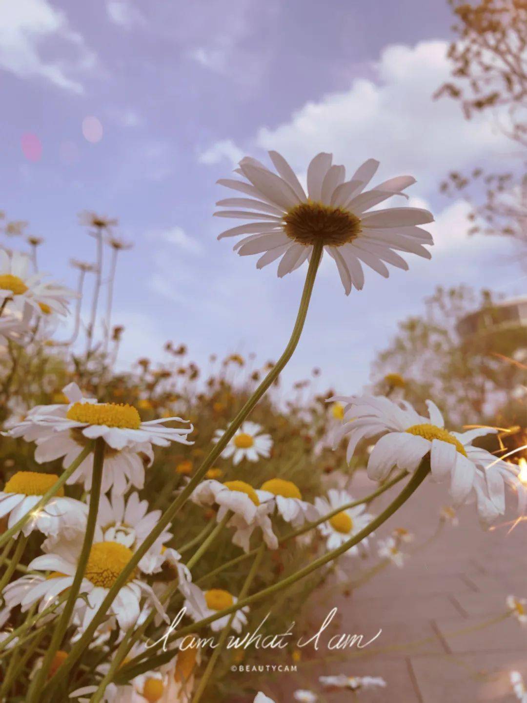 心怀希望,向阳生长