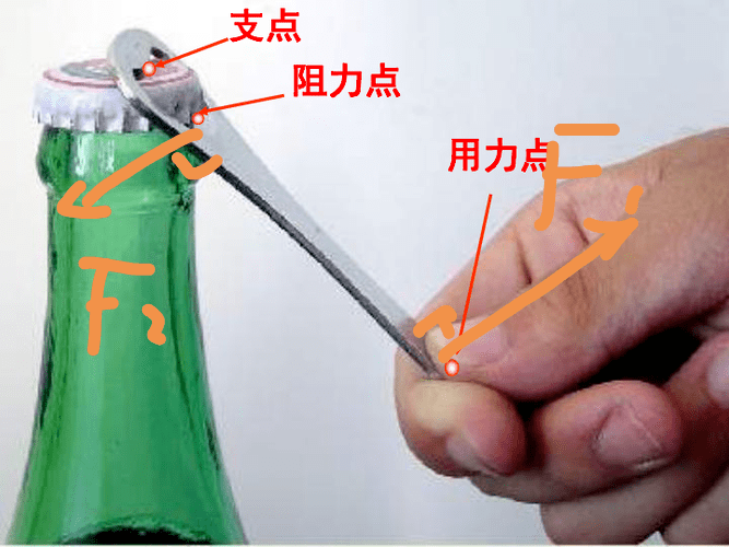 劳动砺心志,实践促成长——平顶山市一高初中部开展"