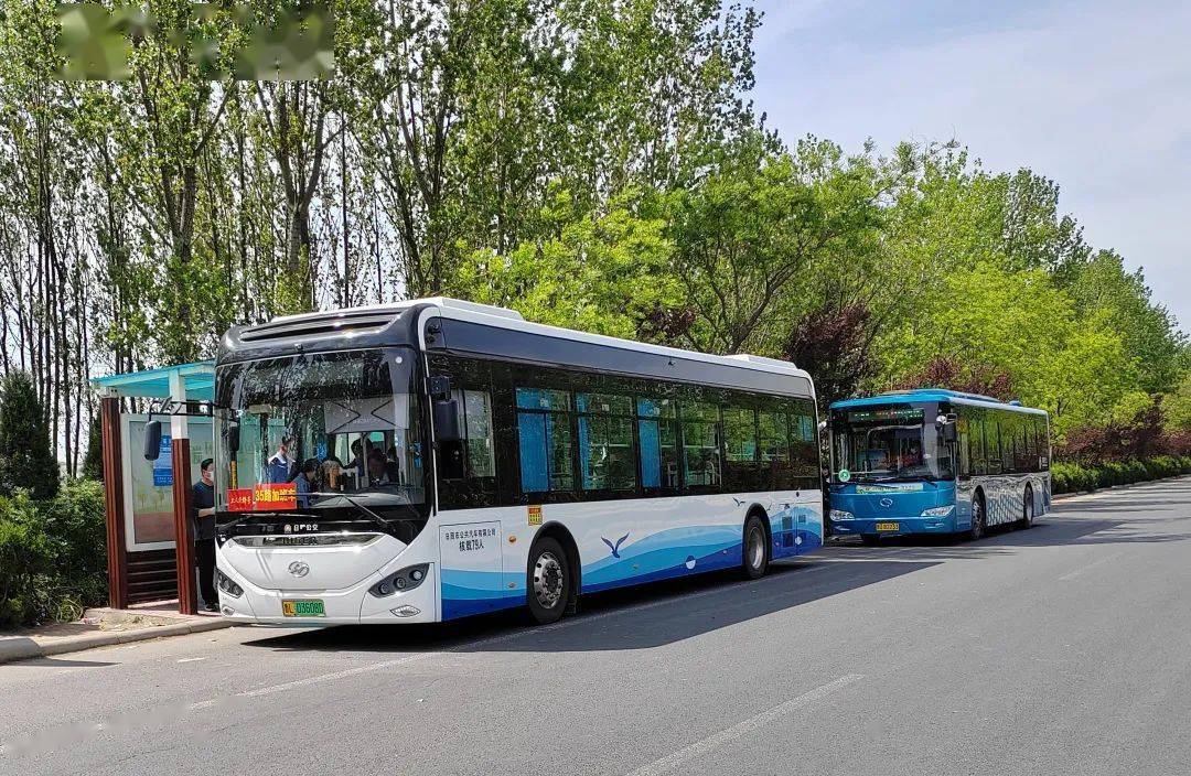 推进胶东经济圈一体化日照公交35路沉浸式携手青岛公交实现全域旅游