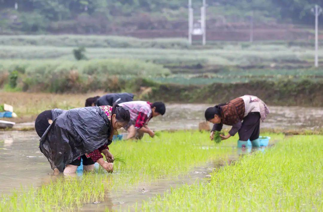 长沙助孕机构名称（夏至范成大）夏至 是什么意思，