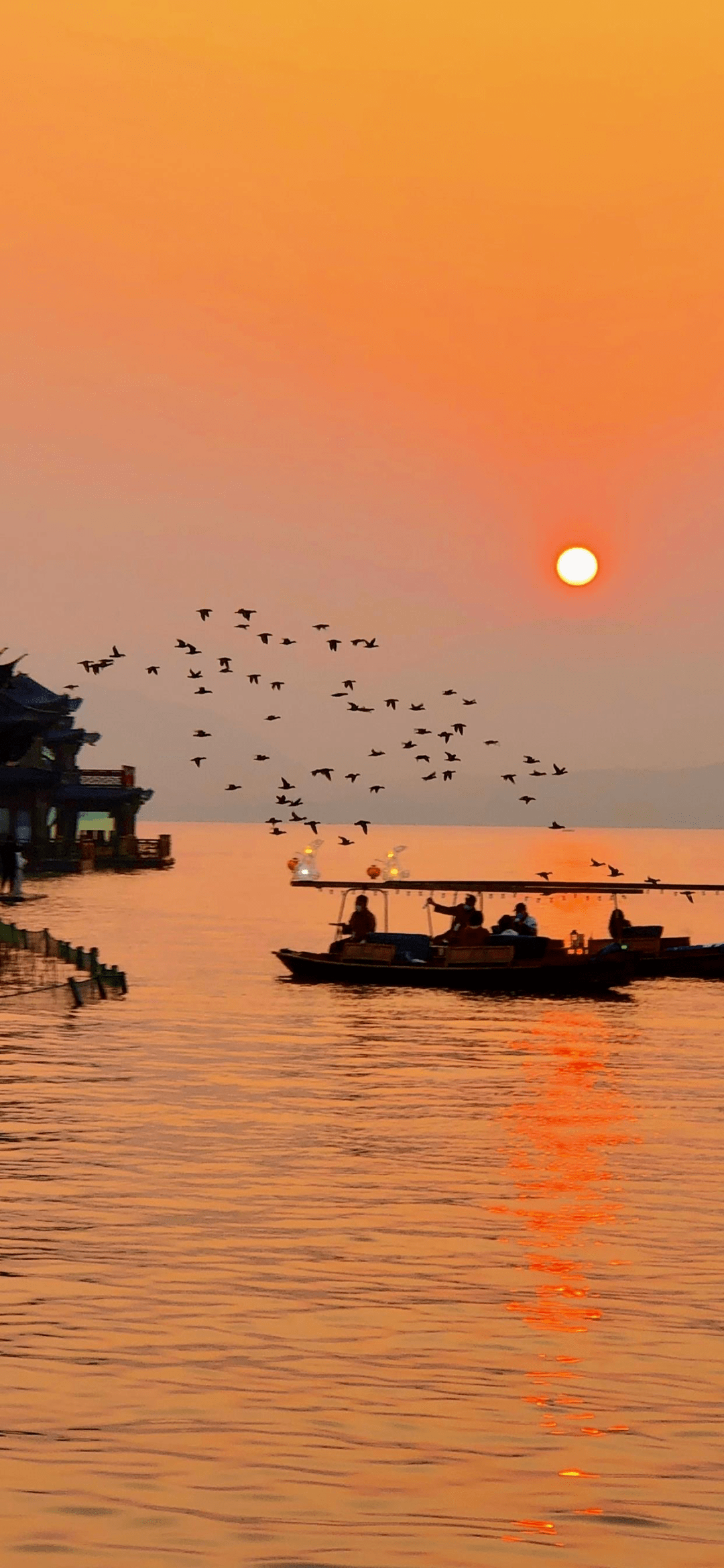 ""你喜欢什么?"97"在一种疏离感中获得意外的自由."97