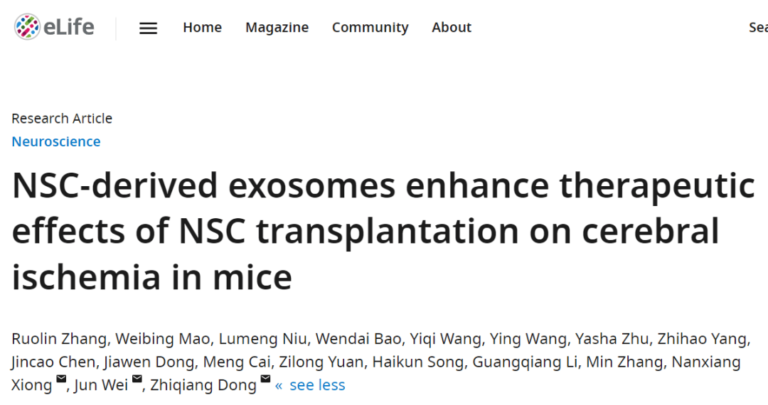 eLife：董志强/魏君/熊南翔团队揭示神经干细胞联合外泌体治疗脑卒中的关键机制