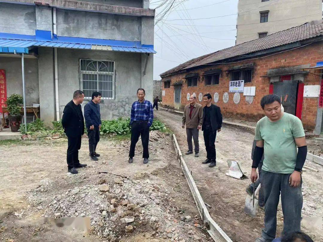 钟祥市洋梓镇 | 代表行动来助力 深深小巷缔"幸福"_群众_巷子_水泥路