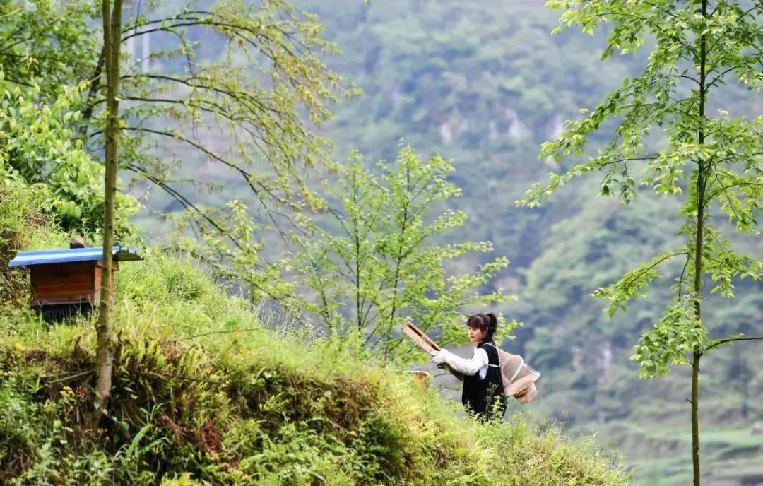 (宋)戴復古《初夏遊張園》寒來暑往,四季更迭歲月永遠溫柔要相信