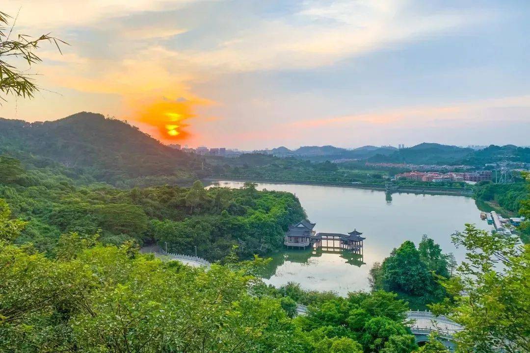 大岭山镇百花洞村的大岭山百花洞小巷子位于广东省东莞市大岭山镇政府