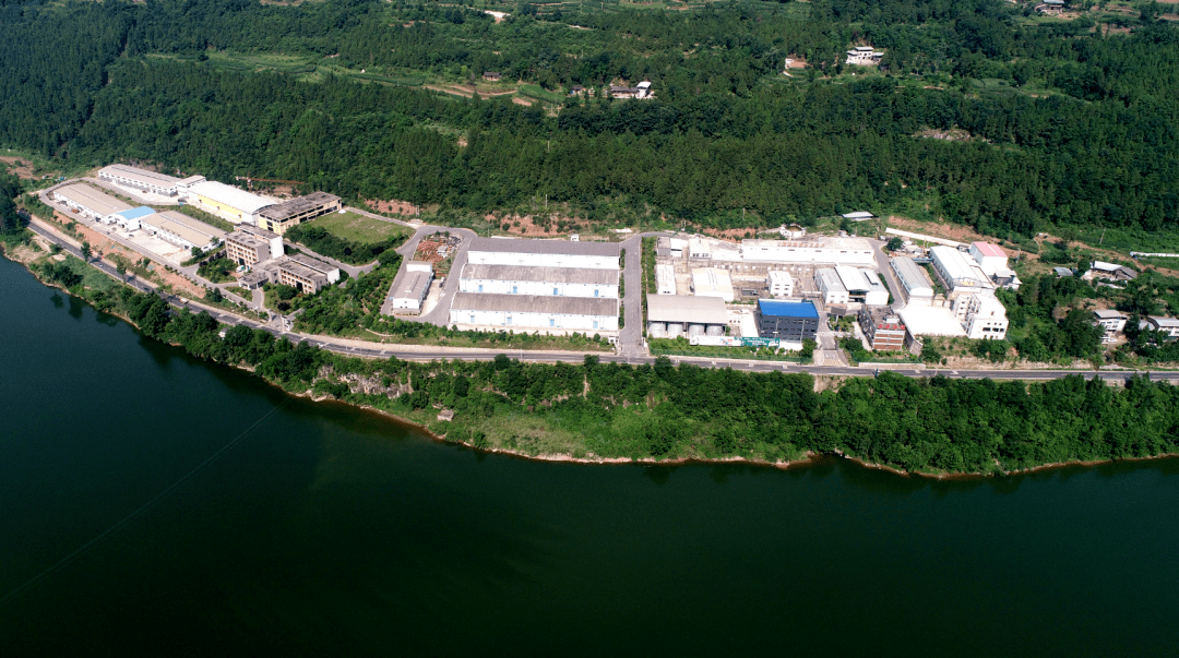 "挖呀挖呀挖"通江版来啦!_银耳_发展_全民