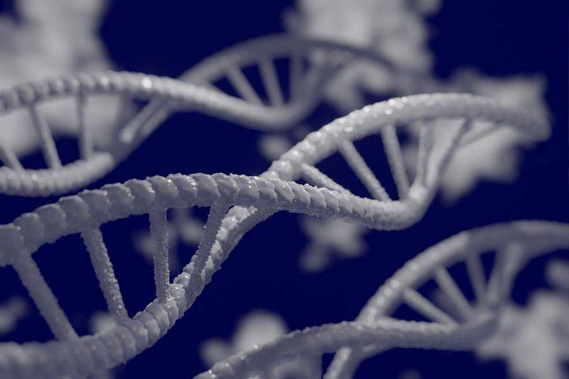 DNA存储数据新突破 研究成果发表在《Nature》上