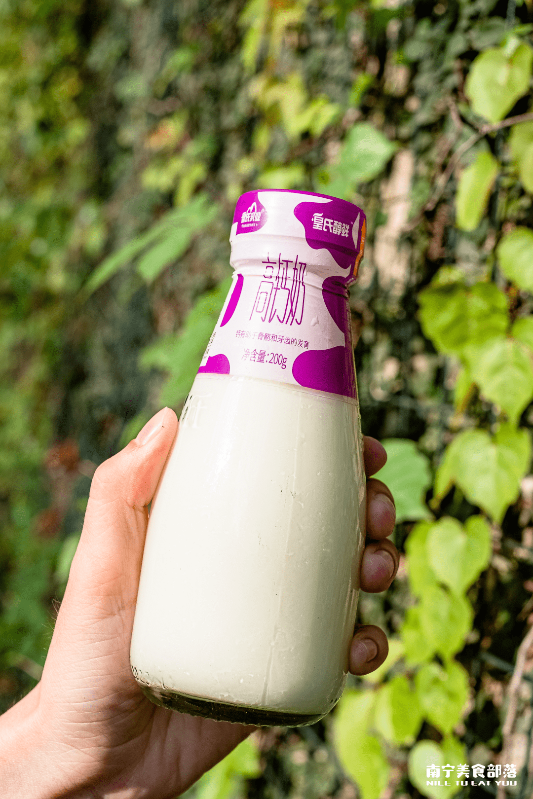 这个母亲节,皇氏新鲜屋推出了新的订奶方式,新的鲜奶口味和饱含心意的