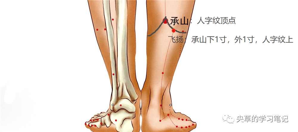 针灸|足跟痛的针灸治疗_穴位_大钟_思路