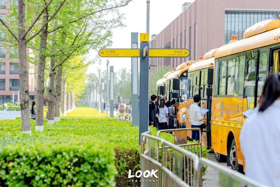 北京一流国际学校 · 沉浸式过一天_凯文_朝阳区_小学部