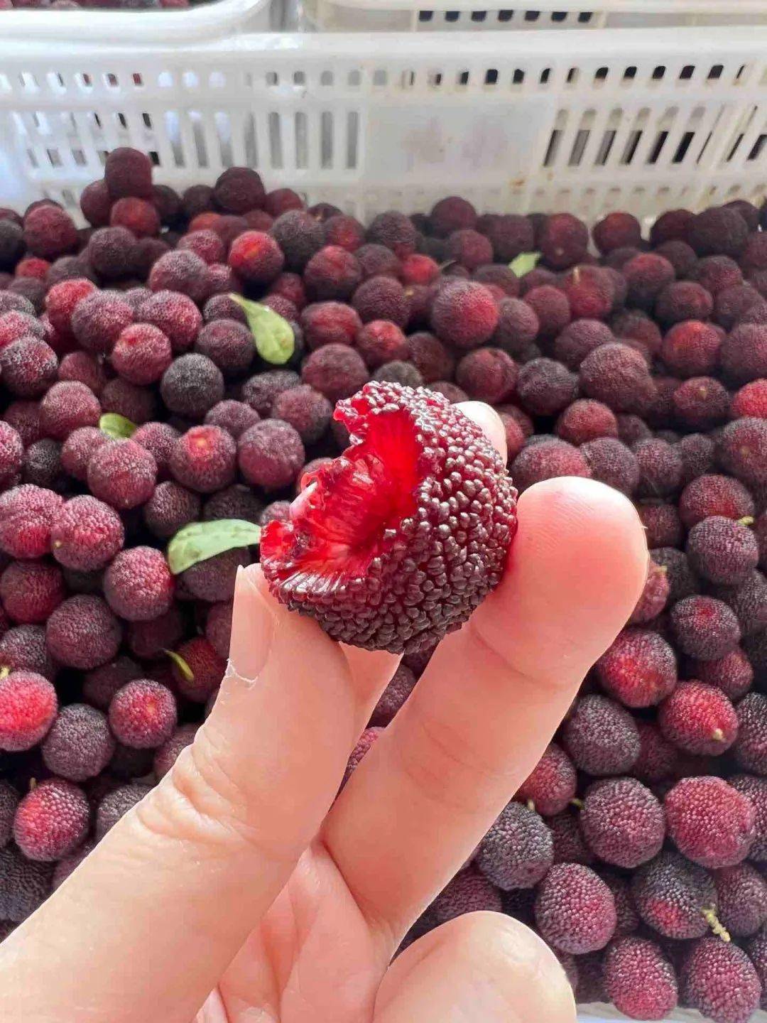 个大,肉厚,爆汁的福建浮宫杨梅就是极好的选择!_水果_价格_舌尖