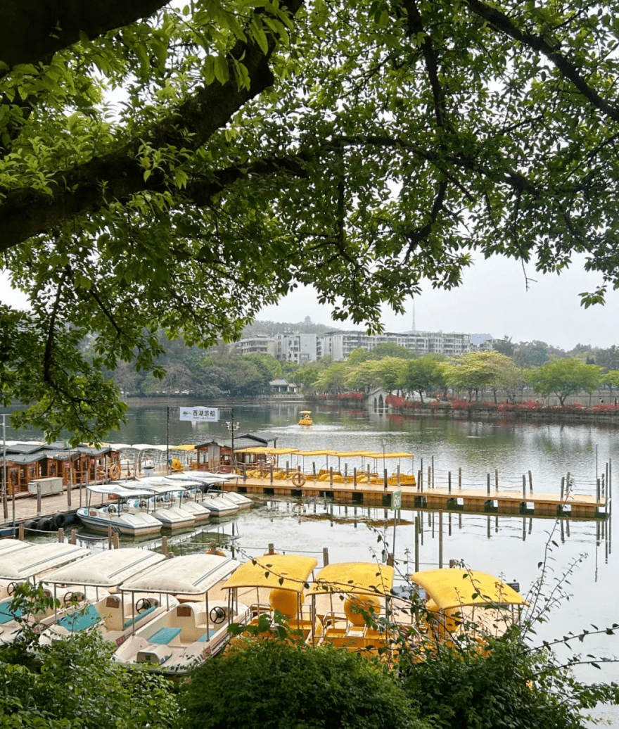 初夏游船,看看不一样的惠州!_平湖_西湖_码头