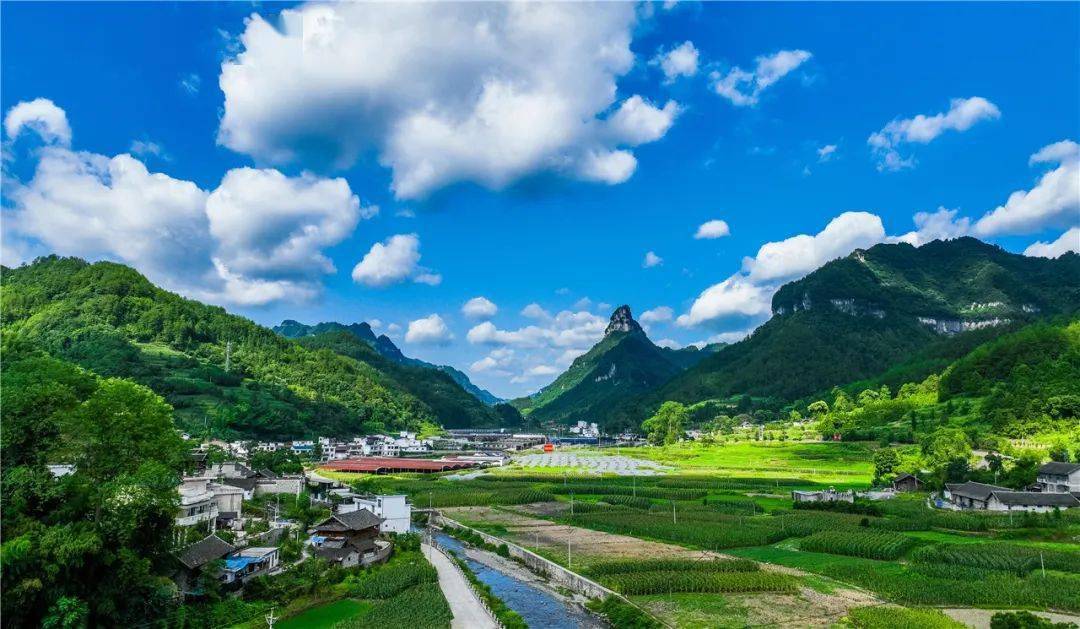 (作品展)_彭俊_杨雄_张金万