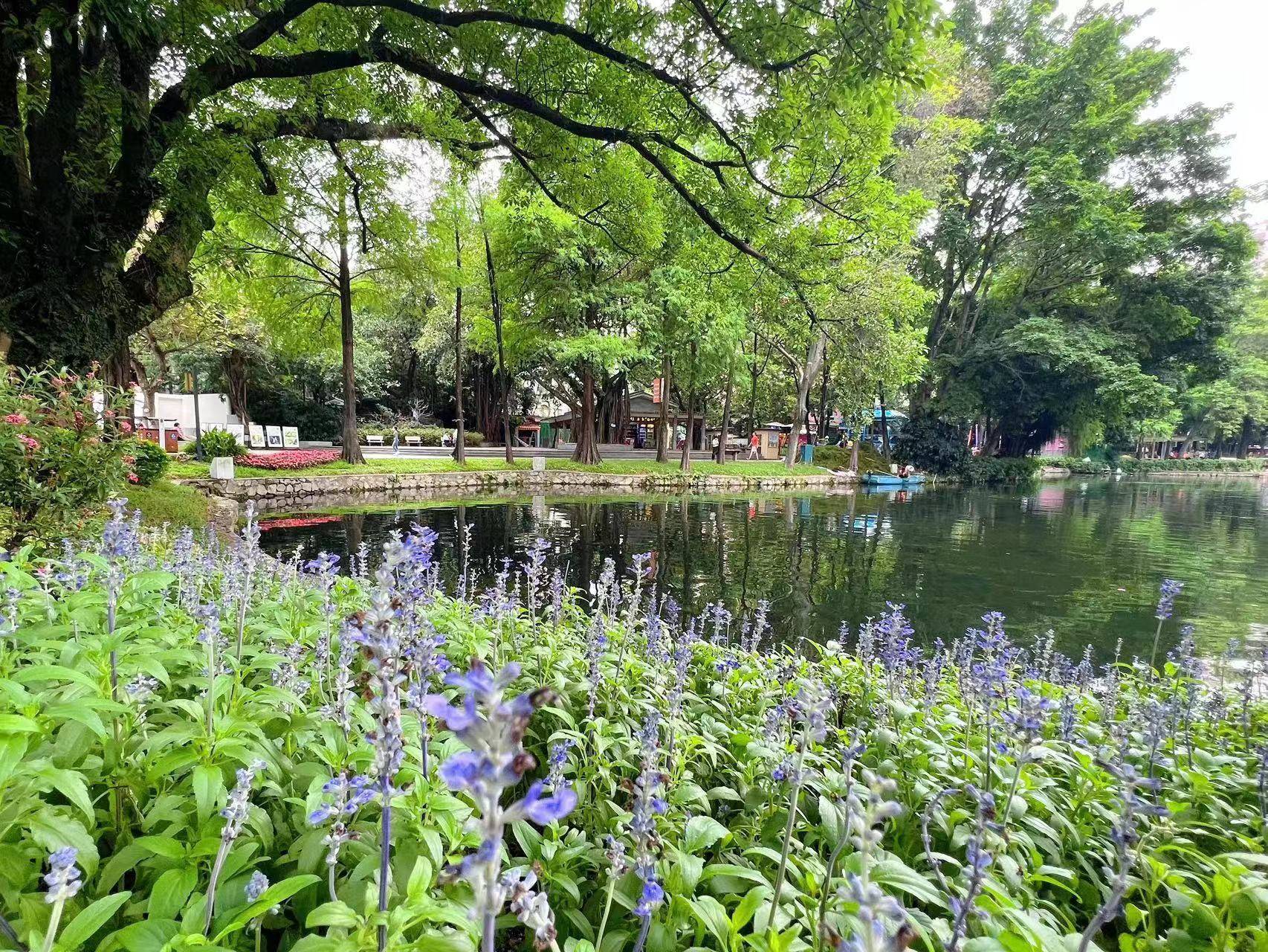 遇见更美的越秀公园!一起来看微改造"绣"出的美景_植物_东秀湖_生态