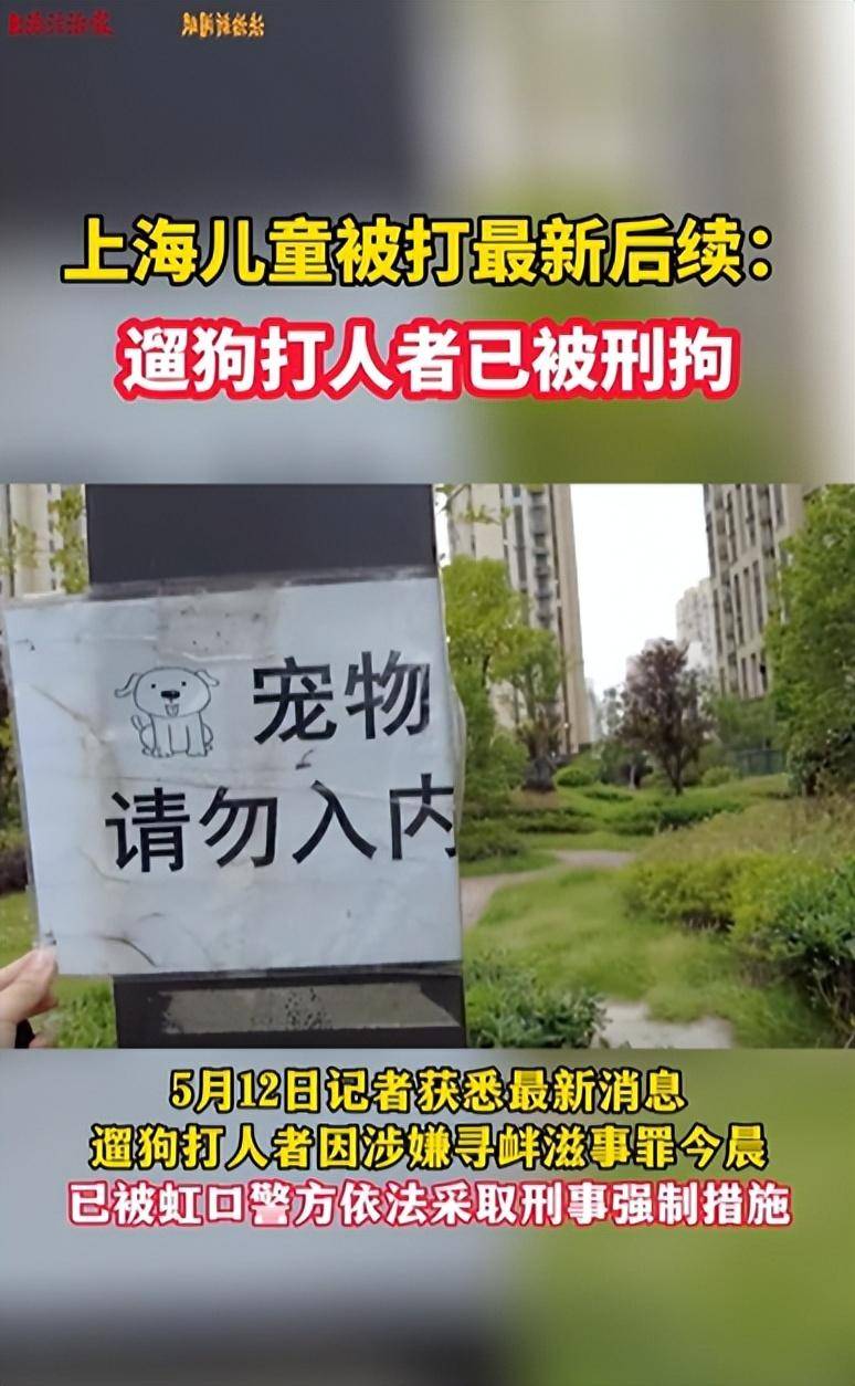 半岛体育上海儿童被打致脑震荡最新后续：遛狗打人者被刑拘！检察机关已介入！(图1)