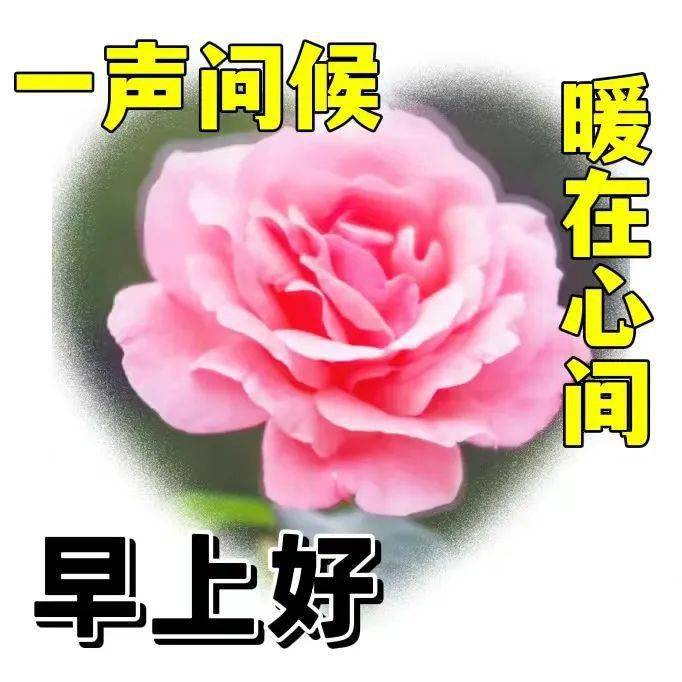 早上好表情包图片大全,祝大家幸福又平安,开心快乐_问候_阳光_微信