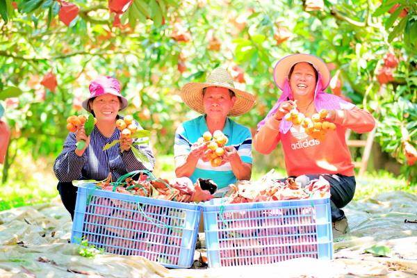 灵川:漓江上游福地美 —— 专访灵川县委书记胡焕忠_发展_广西_旅游