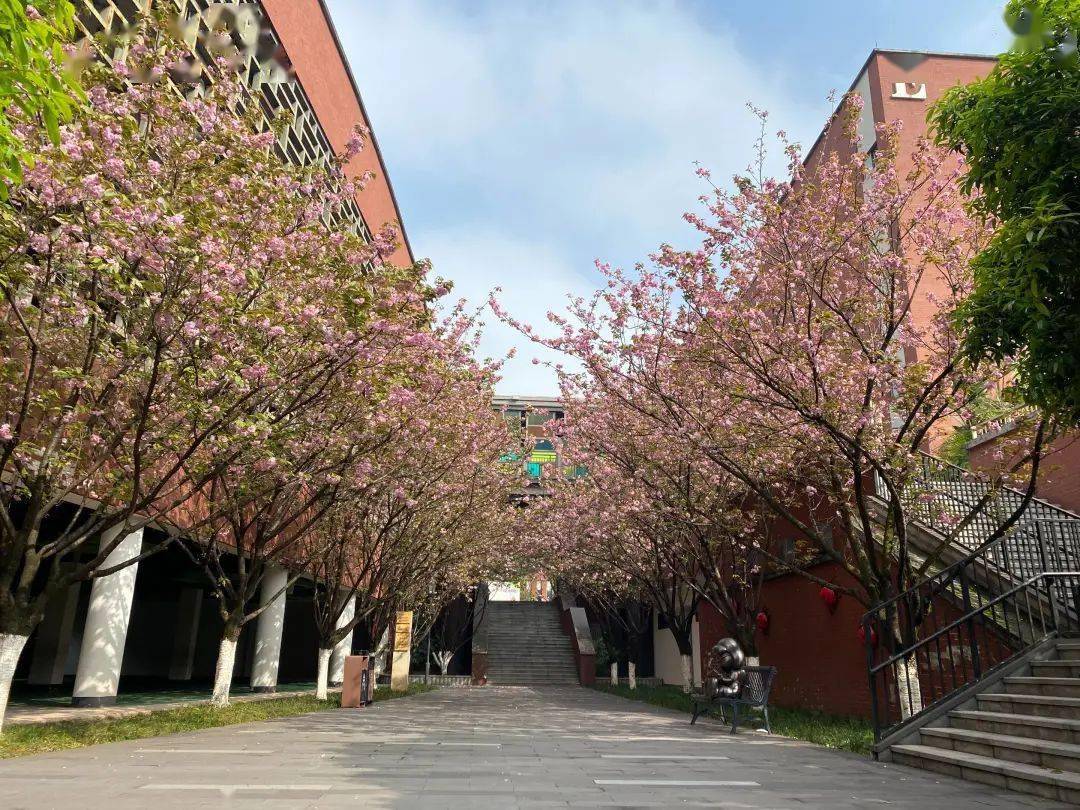 16两江新区康庄美地第二小学校2023.4.