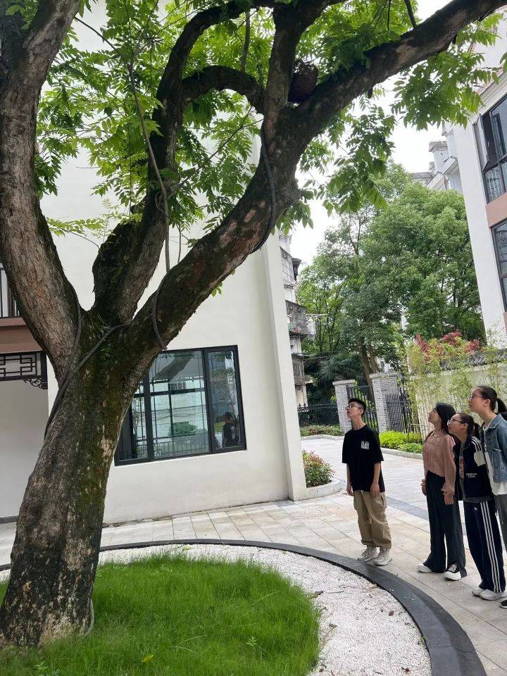 6名小学生的建议,被政府采纳_殷琼_调研_衢州