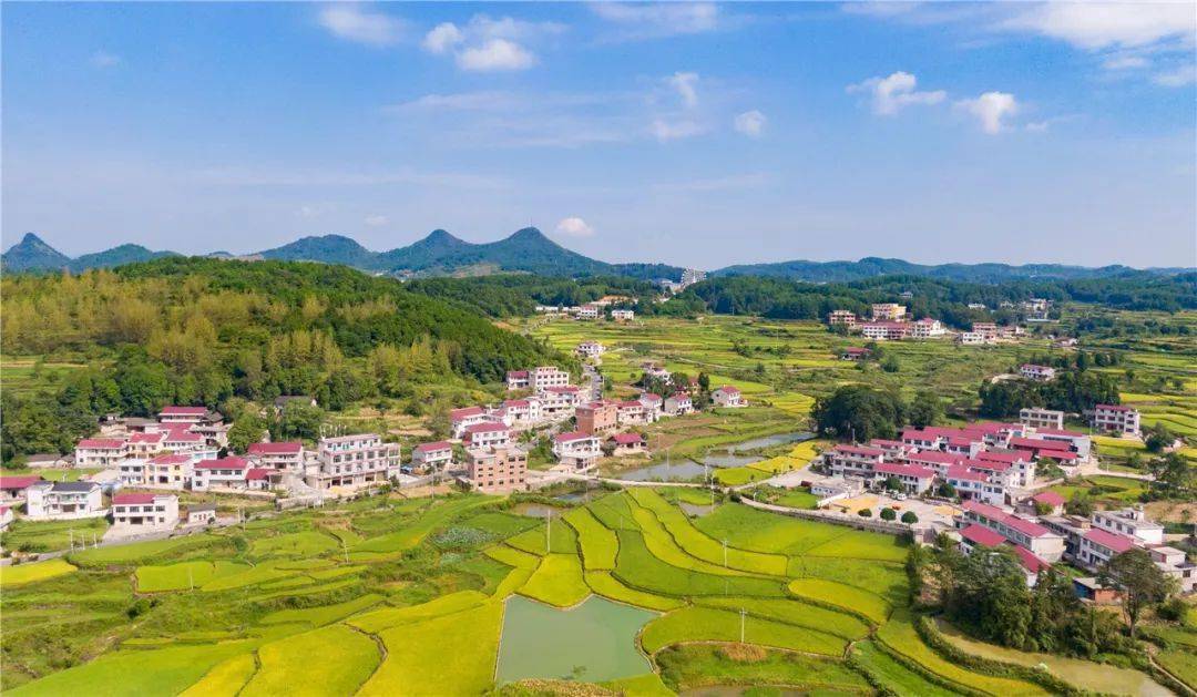 (作品展)_彭俊_杨雄_张金万