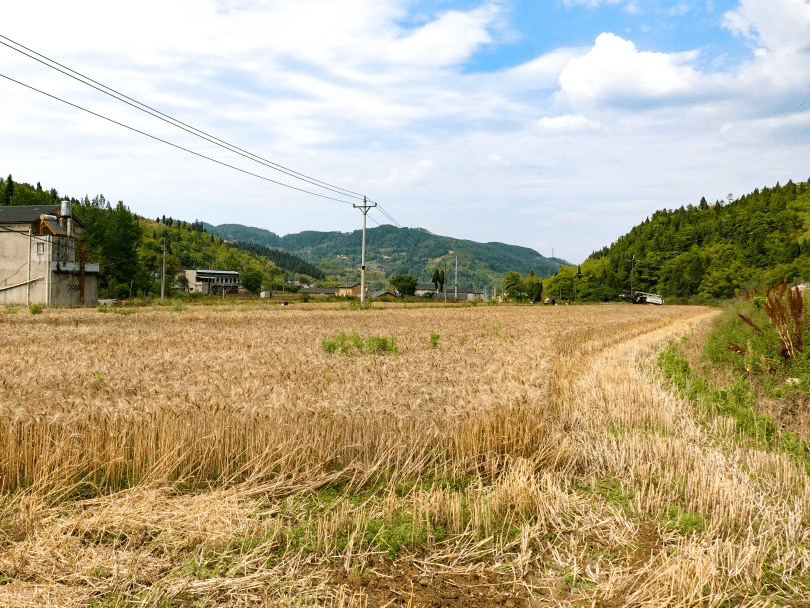 威远县新场镇机场图片