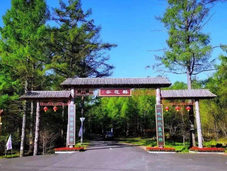 鹤岗市第六届梨花节暨盛夏消费季来喽!今年不止"亿点点"好看!