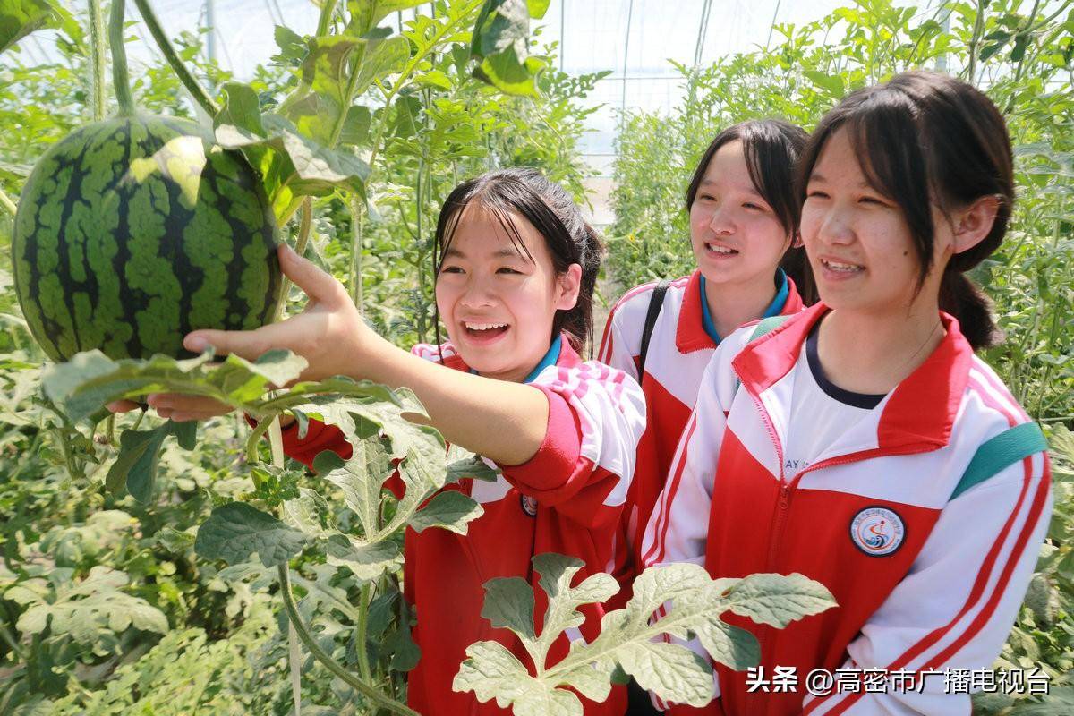 编辑:李晓燕返回搜狐,查看更多