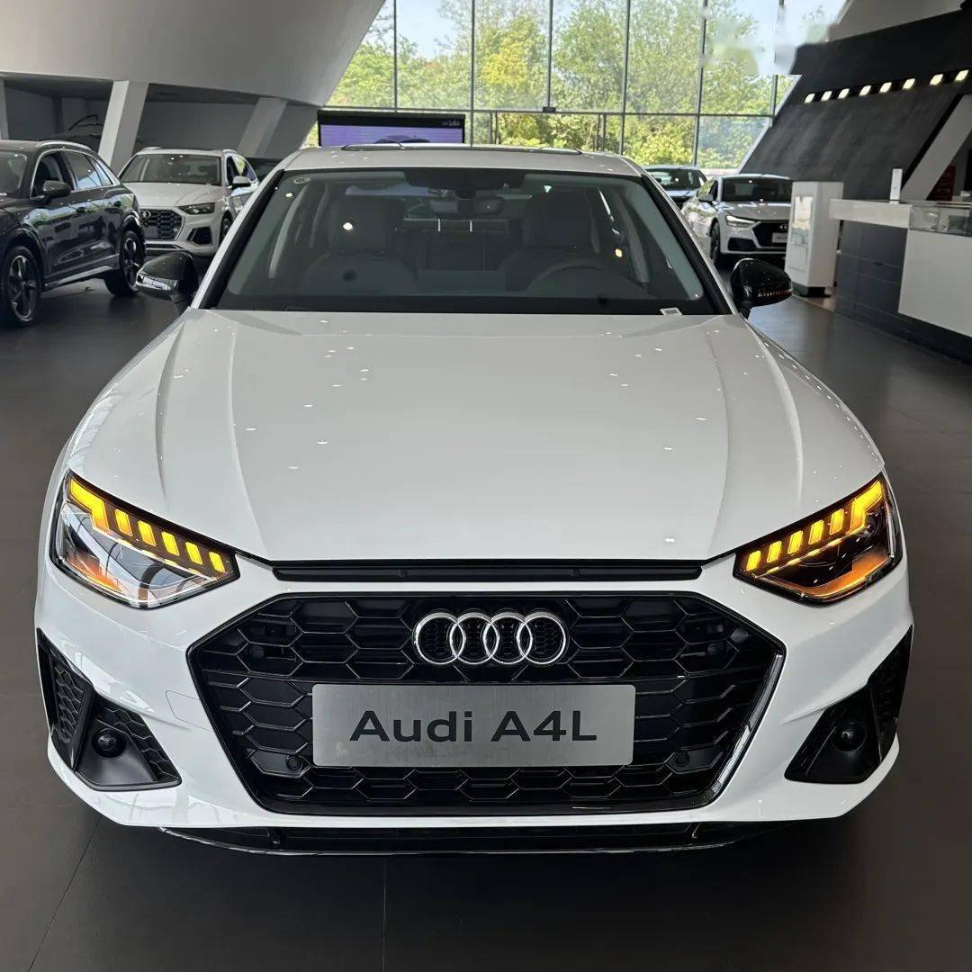 追求高品质生活的年轻人:奥迪a4l就是为你量身定制的_搜狐汽车_搜狐网