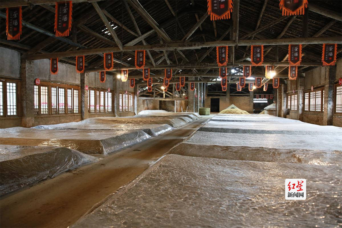 探访崇阳1886古窖池群落:川西坝子现存137年老窖沿用至今_酿酒_酿造