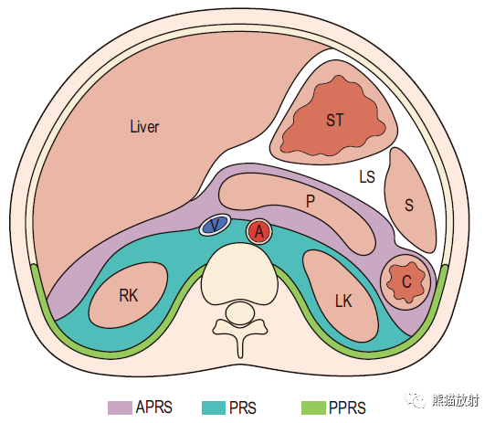 腹侧以后腹膜壁层为界,背侧以肾前筋膜或gerota筋膜为界,更侧方则以侧