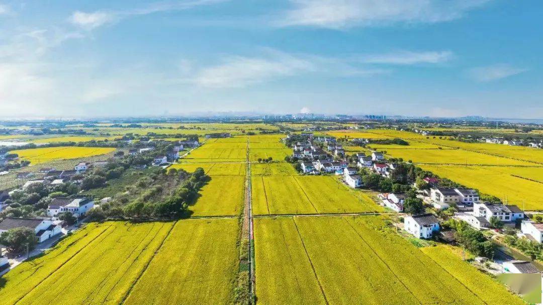 直通万家一条条"畅,安,舒,美"的农村路——望亭在北太湖"稻香小镇"