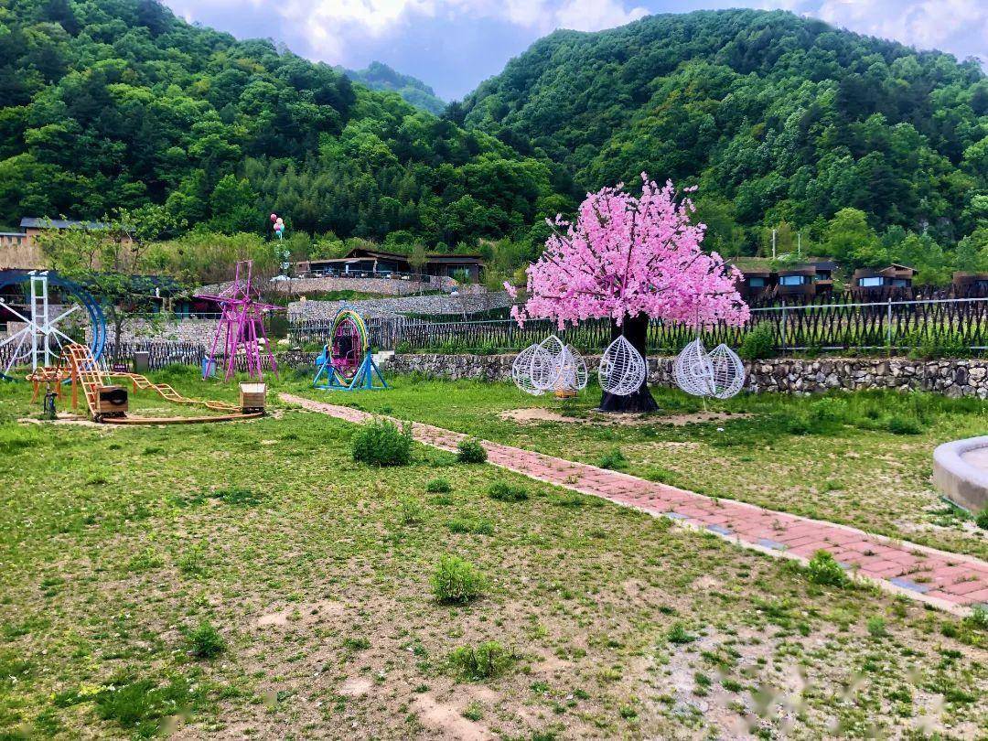 這才是浪漫夏日的正確打開方式 →_佛坪_沙窩村_大熊貓