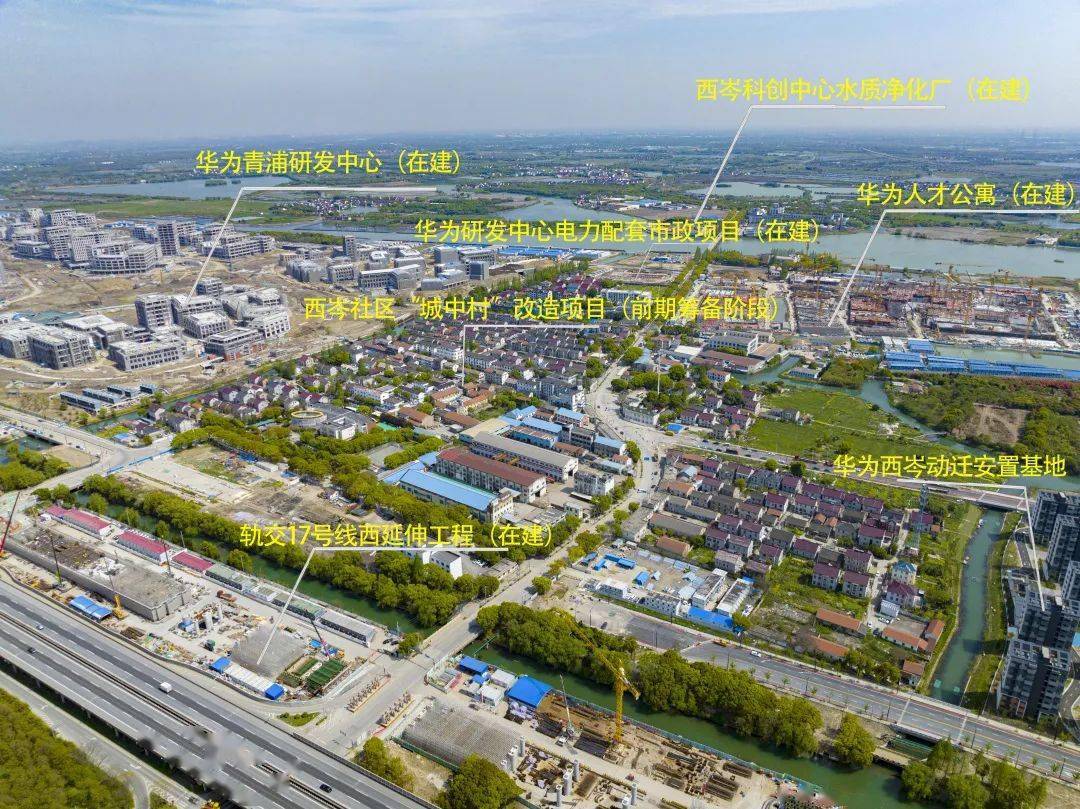 金泽镇:多重优势叠加,发展空间广阔,经济发展在爬坡过坎中走向春天丨