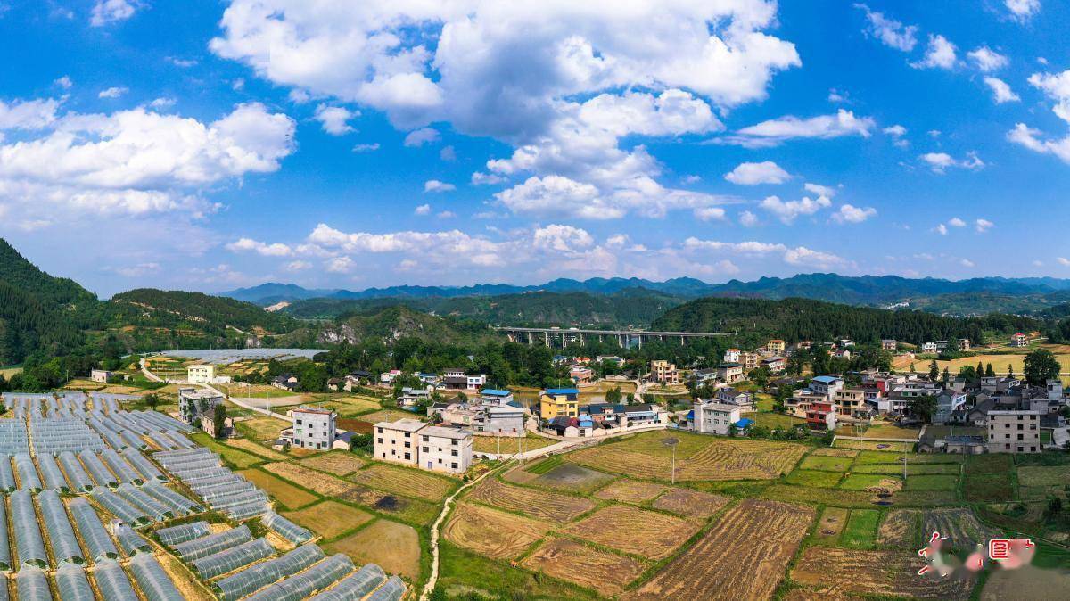 初夏乡村景如画_图片_水坪村_新店镇