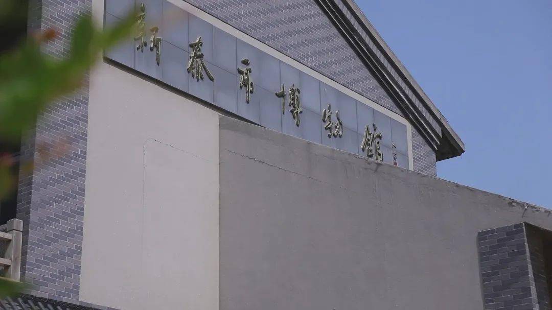 国际博物馆日| 新泰博物馆的n多宝贝,你见过吗?_文物_教育_发展